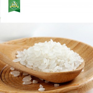 沙漠大米优质谷粮