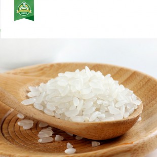 沙漠大米优质谷粮