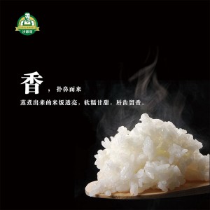沙漠大米-食尚沙粮10斤装