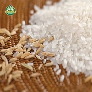 沙漠大米10斤装